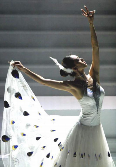 Yang Li Ping
